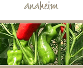 Anaheim Peppers