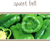 Sweet Green Bell Peppers