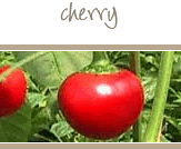 Cherry Peppers