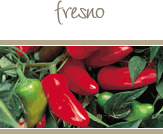 Fresno Peppers