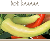 Hot Banana Peppers
