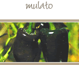 Mulato Peppers
