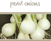 Pearl Onions