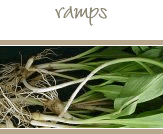 Ramps