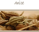 Anise