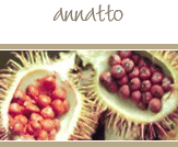 Annatto