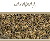 Caraway