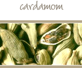 Cardamom