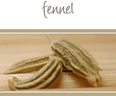 Fennel Seed