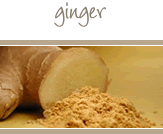 Ginger Root