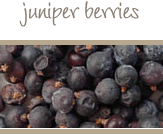 Juniper Berries