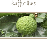 Kaffir Lime and Leaves