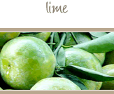 Lime