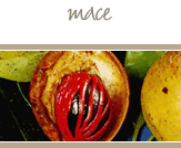Mace