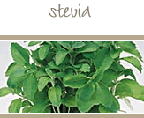 Stevia
