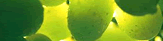 Succulent Green Grapes