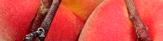 Luscious Peaches